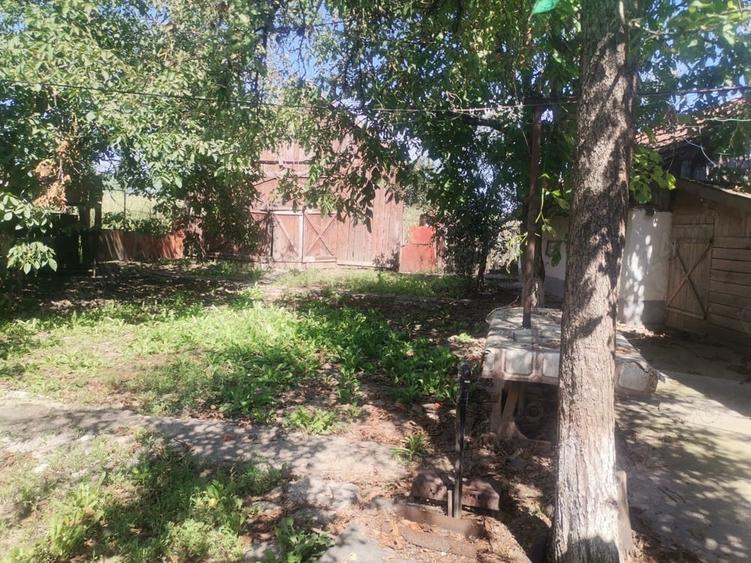 Casă cu Teren 2300 Mp în Doba