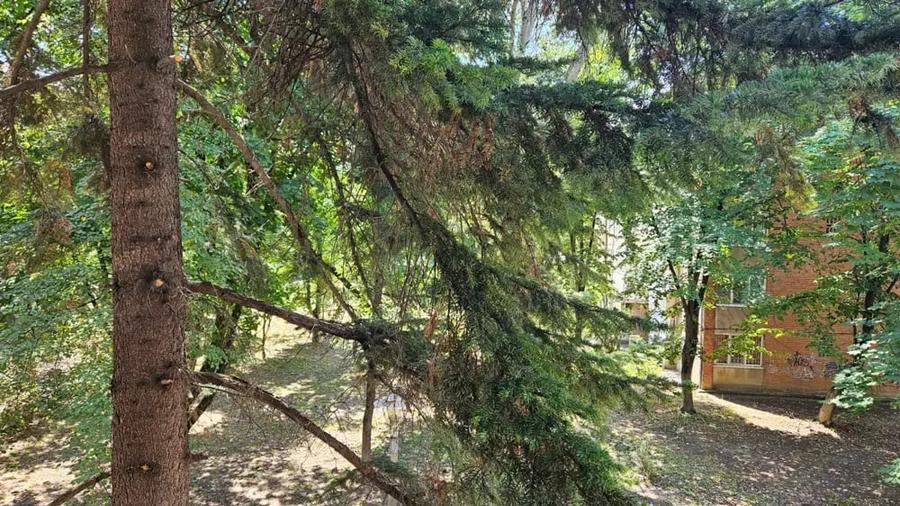 Apartament cu 4 camere decomandat în Tipografilor
