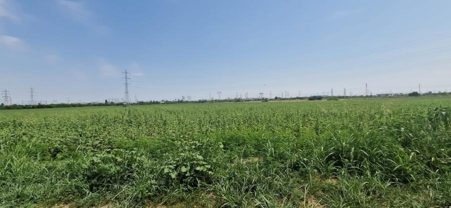 Teren Construcții intravilan de 45552 mp, în Splaiul Unirii