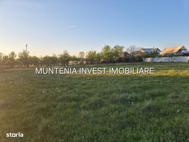 Spațiu comercial, în Poiana Lacului