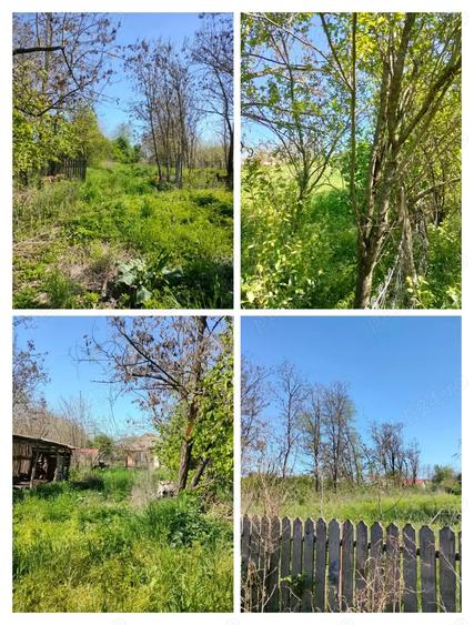 Casă cu 5 camere în Platonești