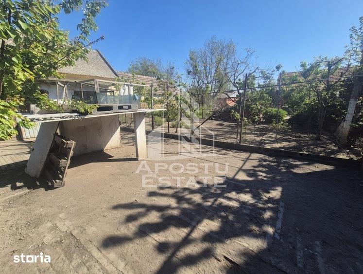 Casă cu 5 camere cu Teren 719 Mp în Periam
