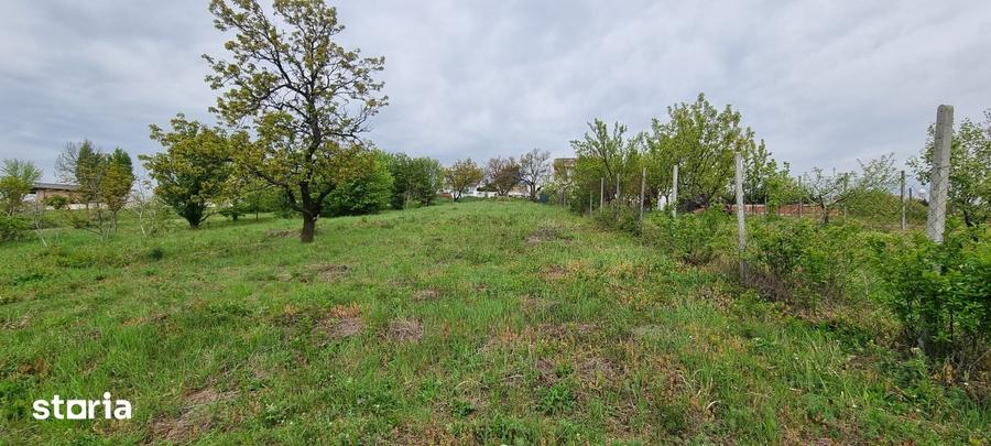 Teren de 1607 mp, în Oncea