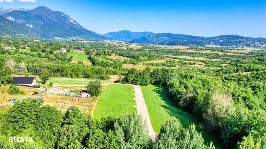 Teren intravilan zona Bran-Tohanita,langa padure intre 500 si 1000 m - 9
