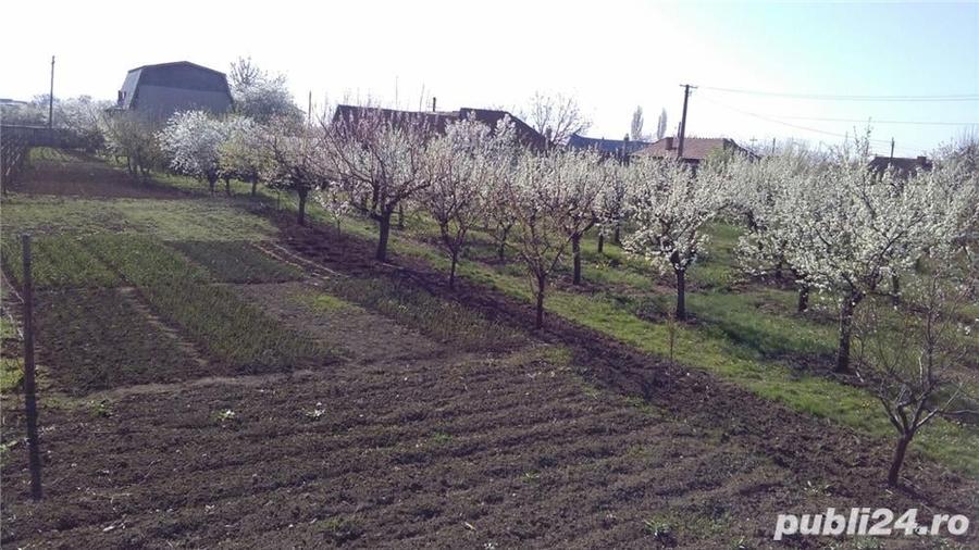 Casă cu 5 camere cu Teren 5500 Mp în Teslui