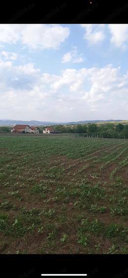 Teren de 4000 mp, în Exterior Vest