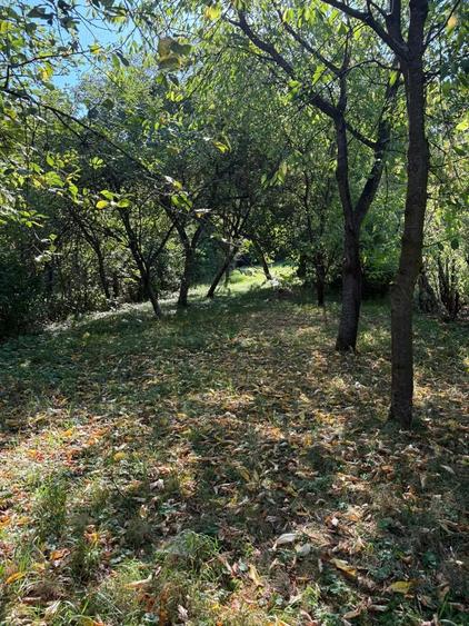 Casă cu 4 camere cu Teren 450 Mp în Central