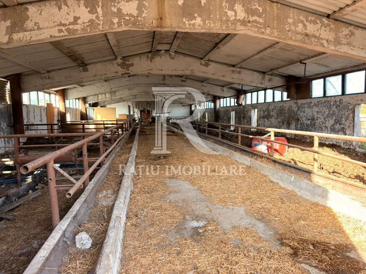 Spațiu industrial, de 8,000 mp, în Sărand