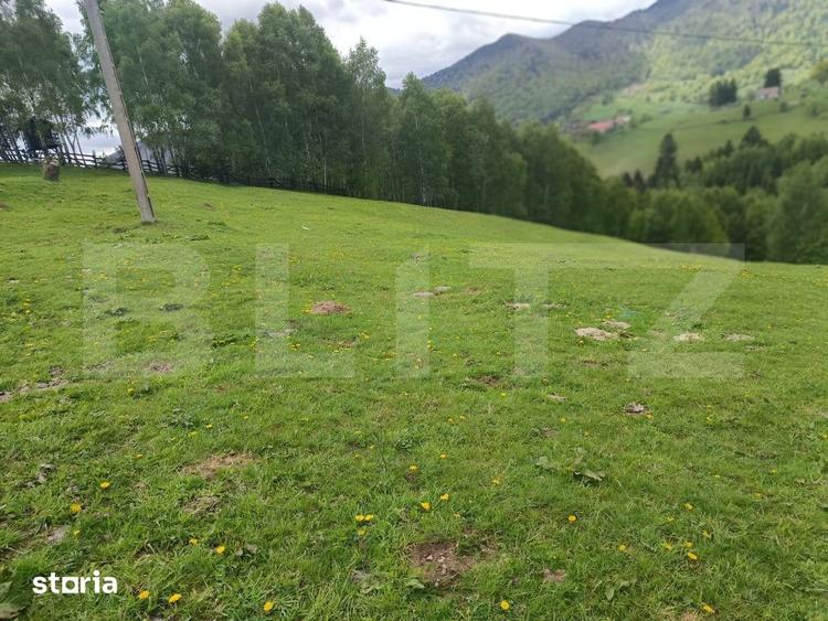 Teren de 4649 mp, în Peștera