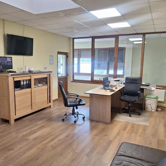 Spațiu comercial, de 200 mp, în Careiului