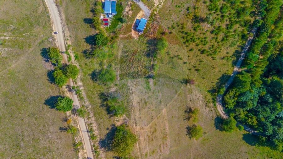Teren agricol extravilan de 6014 mp, în Holbav