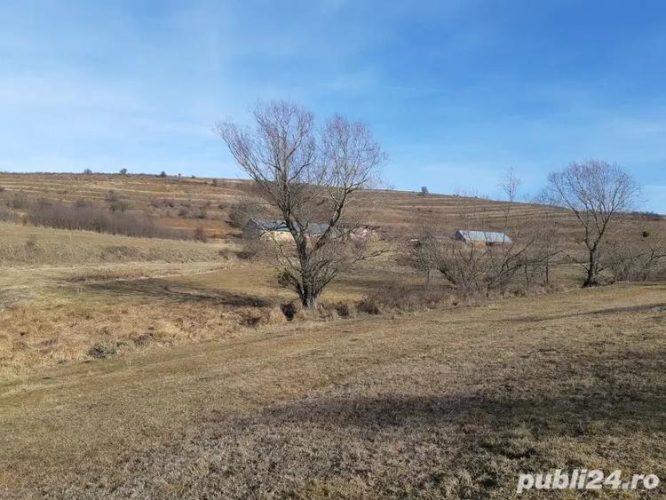 Teren de 8400 mp, în Vălișoara