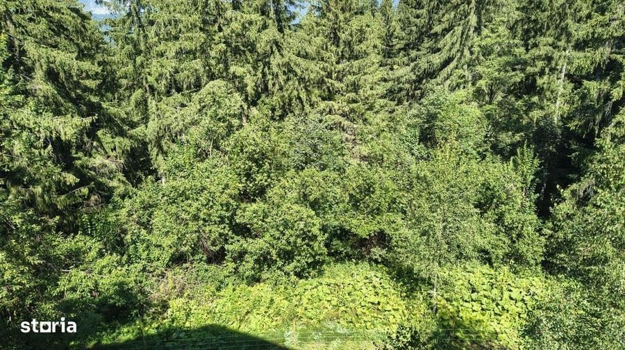 Apartament cu 2 camere decomandat în Predeal