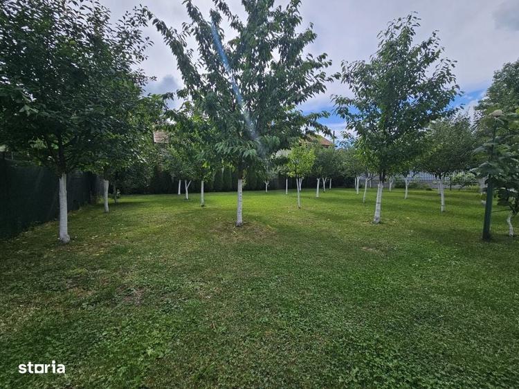 Casă cu 3 camere în Căpușu Mic