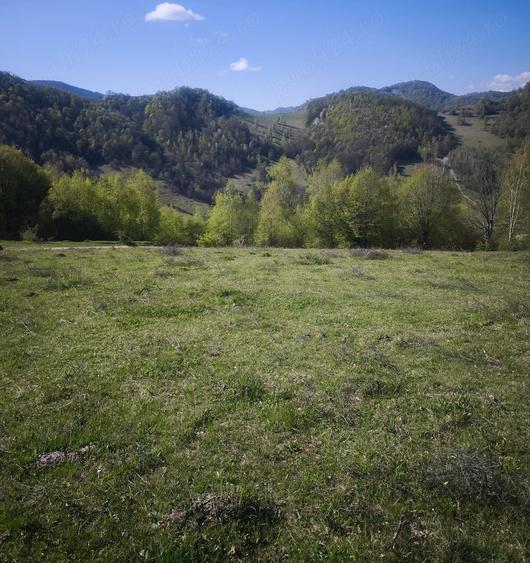 Teren de 3510 mp, în Central