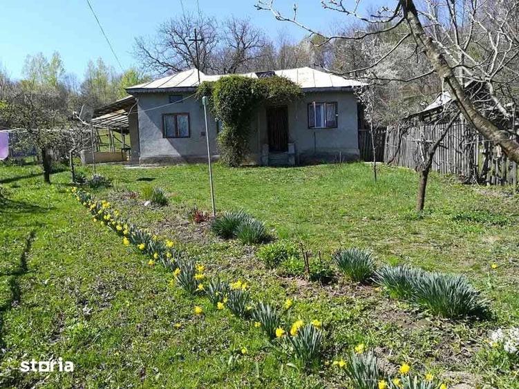 Spațiu comercial, de 12,000 mp, în Posești