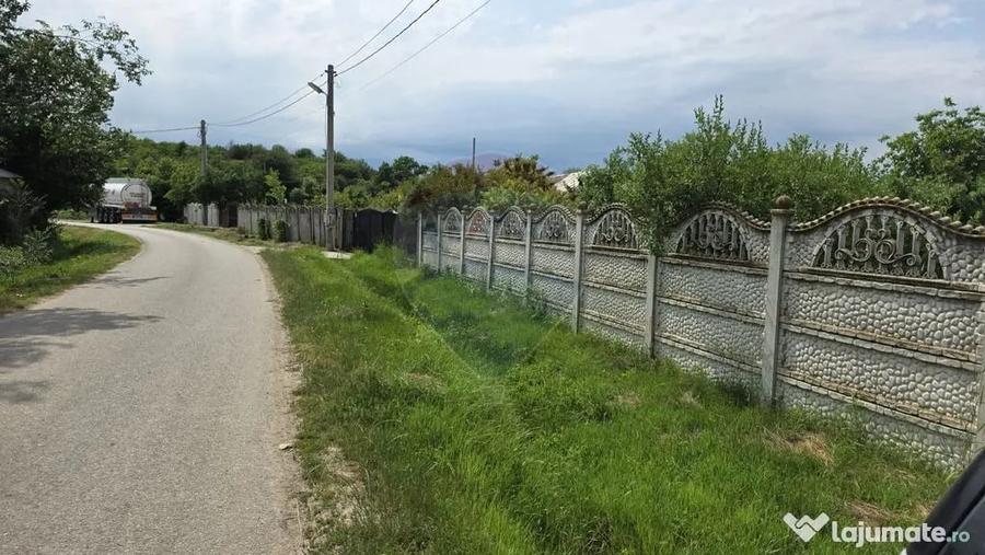 Domeniu rural, gospodarie/multifunctionala cu casa, livad... - 9