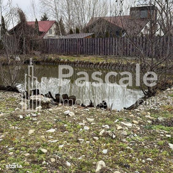 Spațiu comercial, în Sadu