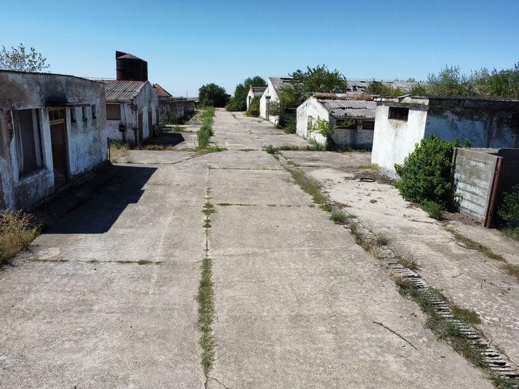 Spațiu industrial, de 7,950 mp, în Orțișoara
