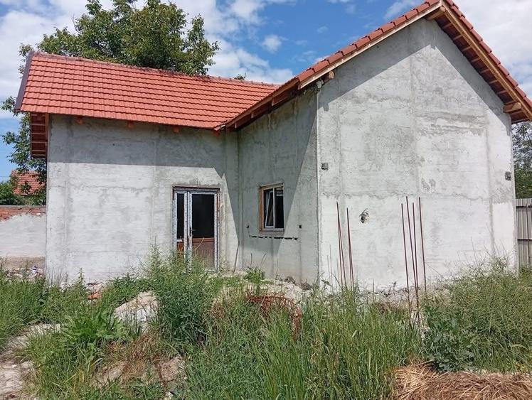 Casă cu 2 camere în Bârsa