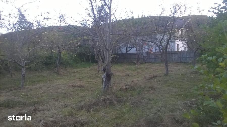 Teren de 720 mp, în Vlădești
