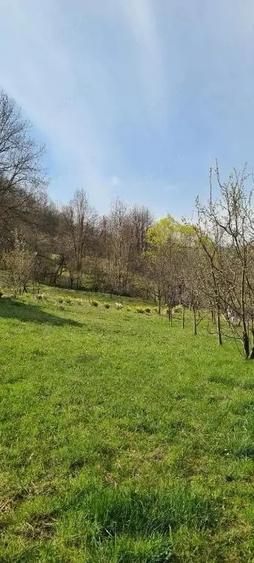 Teren de 2900 mp, în Ocina de Jos