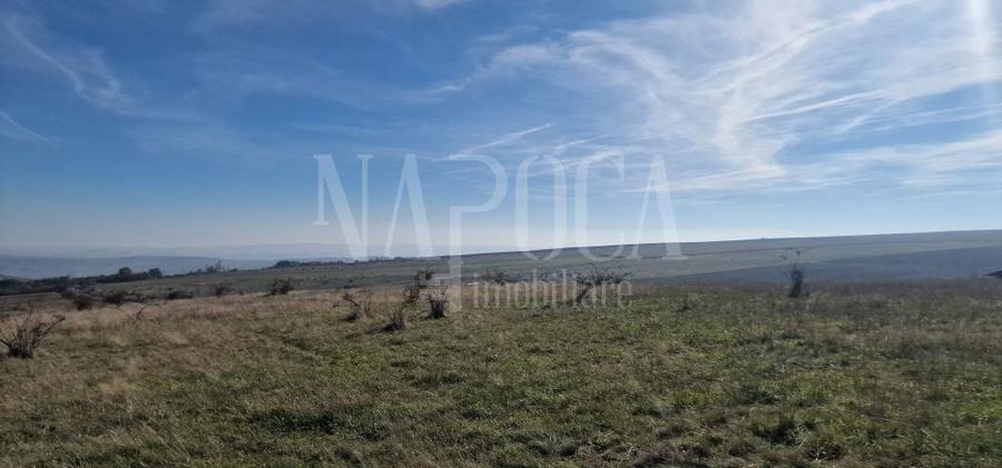 Teren agricol extravilan de 493170 mp, în Iris