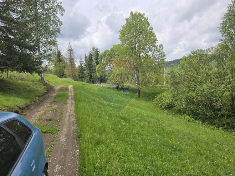 Teren agricol extravilan de 5034 mp, în Iacobeni