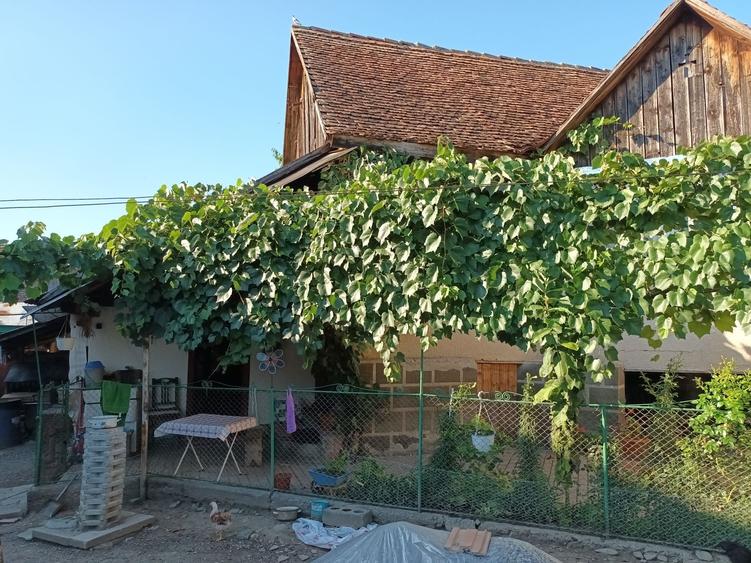 Casă cu 4 camere în Dipșa