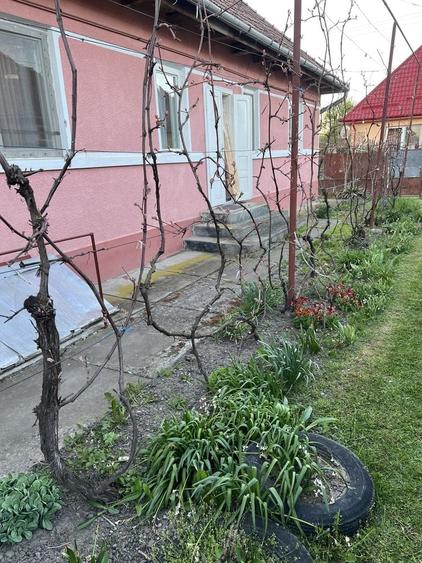 Casă cu 3 camere în Voivodeni