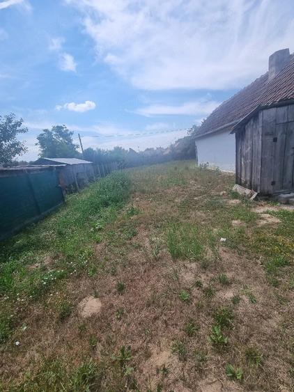 Casa + Teren de Vanzare URGENT, Micula, Satu Mare - 1