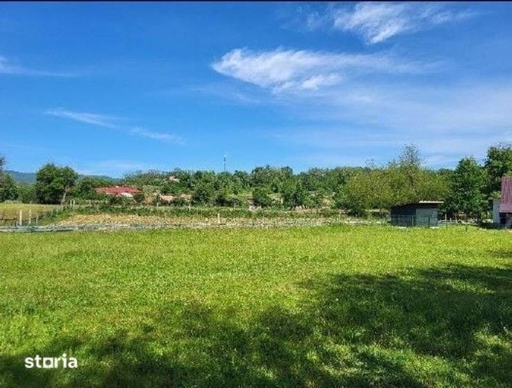 Teren de 1743 mp, în Tisău