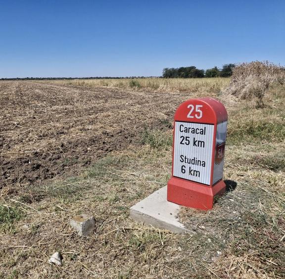 Teren de 150000 mp, în Brastavățu
