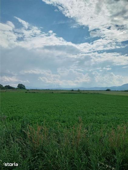 Teren de 2000 mp, în Stupini