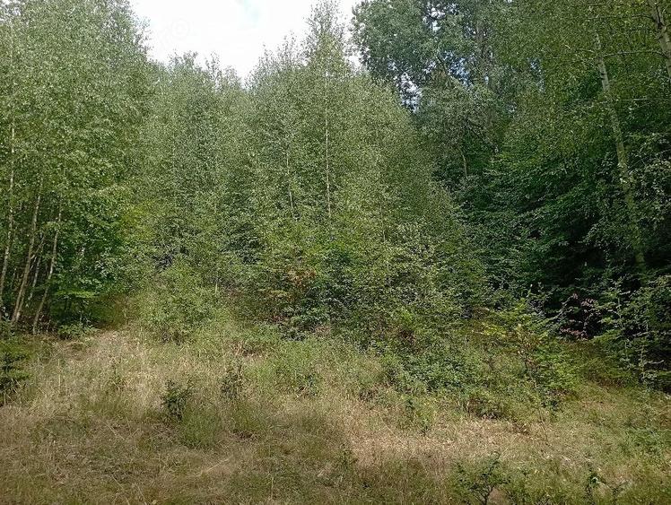 Teren de 3500 mp, în Valea Babei