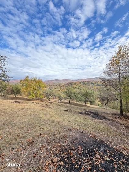 Teren de 8260 mp, în Corbi