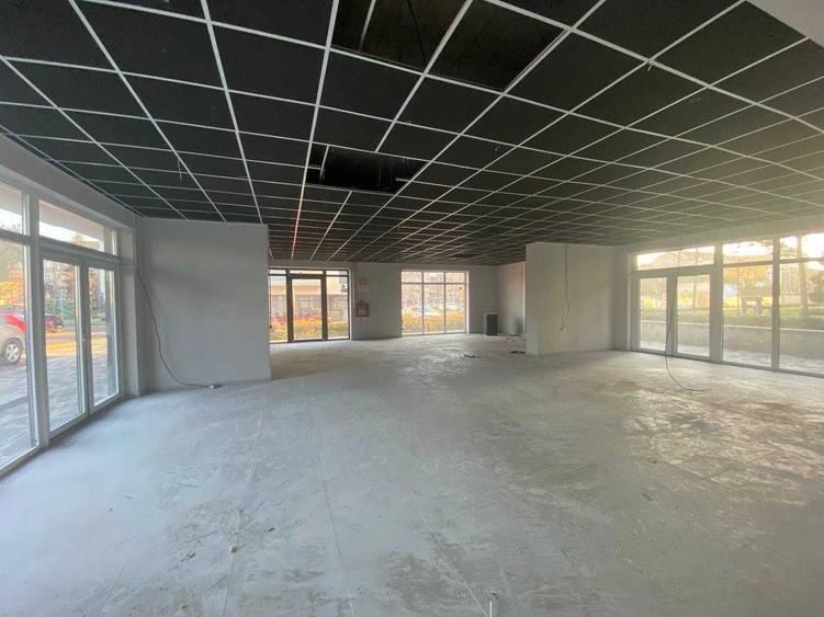 Spațiu comercial, de 230 mp, în Nufărul