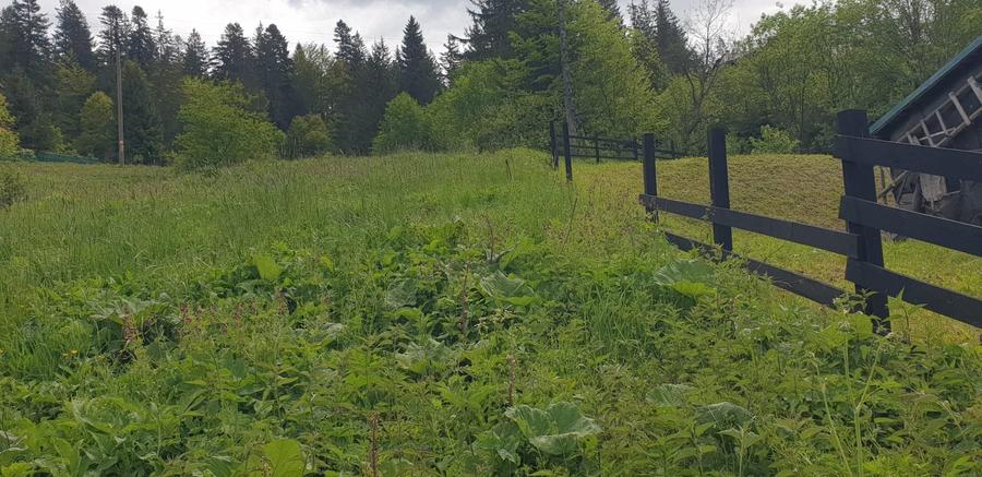 Teren agricol intravilan de 5000 mp, în Predeal