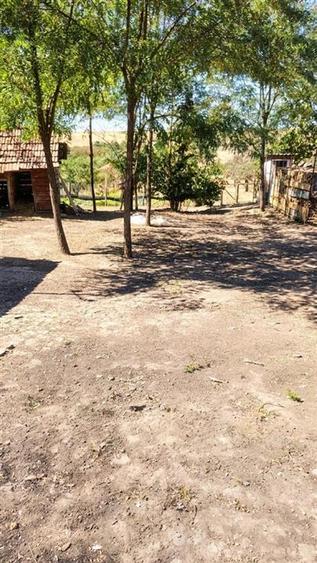Teren intravilan de 4596 mp, în Cetariu