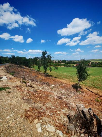 Teren de 7694 mp, în Tureni