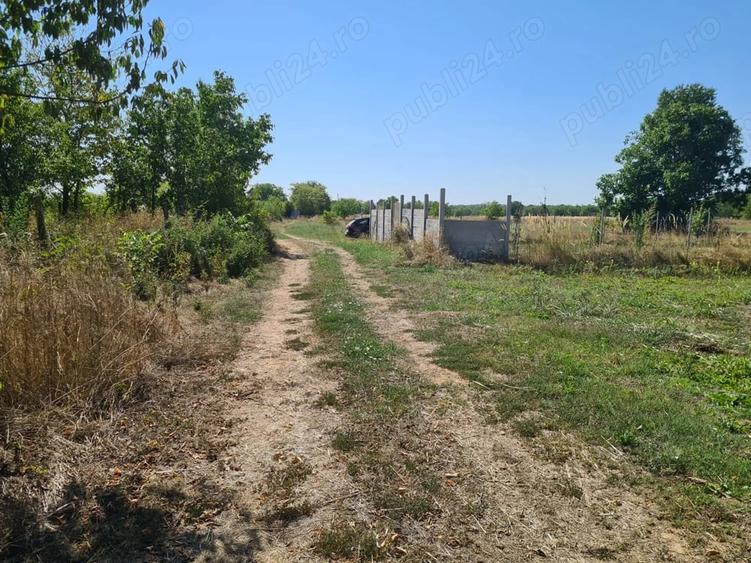 Teren de 5000 mp, în Central