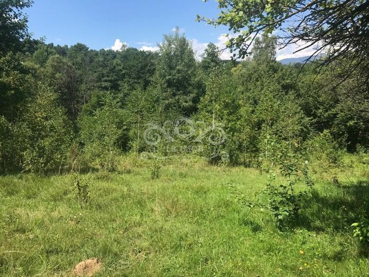 Teren Construcții extravilan de 5000 mp, în Câmpulung Muscel