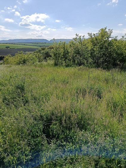 Vand 1500 mp teren intravilan, Turda, str Romana - 1