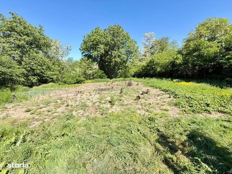 Casă cu 3 camere cu Teren 1700 Mp în Negri