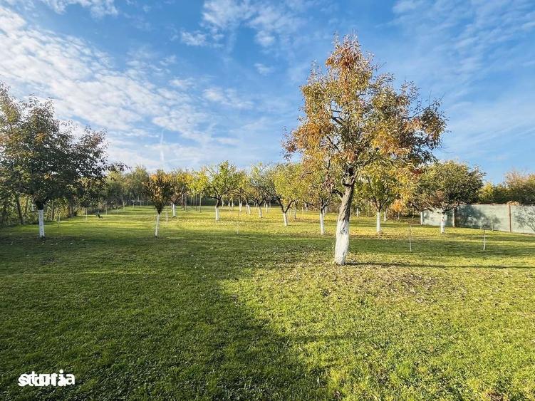 Casă cu 3 camere cu Teren 1994 Mp în Central