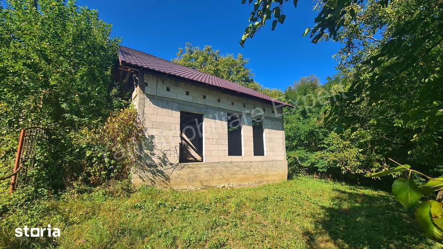 Casă cu 3 camere cu Teren 4391 Mp în Valea Danului