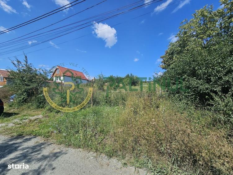 Spațiu comercial, în Câineni