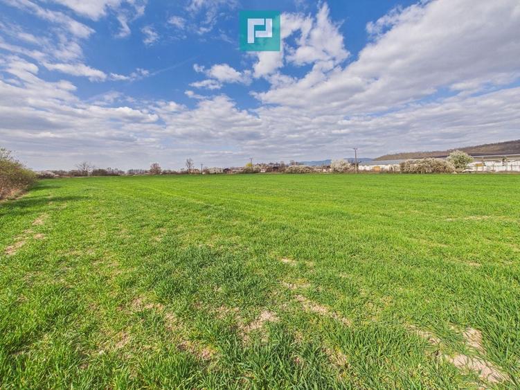 Teren agricol extravilan de 10000 mp, în Sud-Est