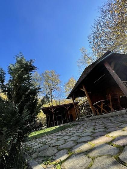 Casă cu 4 camere în Avrig