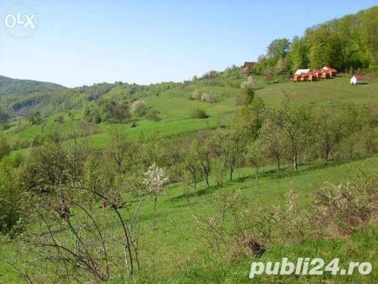 Teren de 18000 mp, în Moneasa